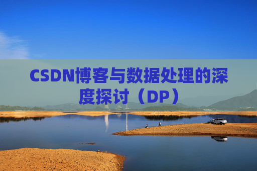 CSDN博客与数据处理的深度探讨（DP）